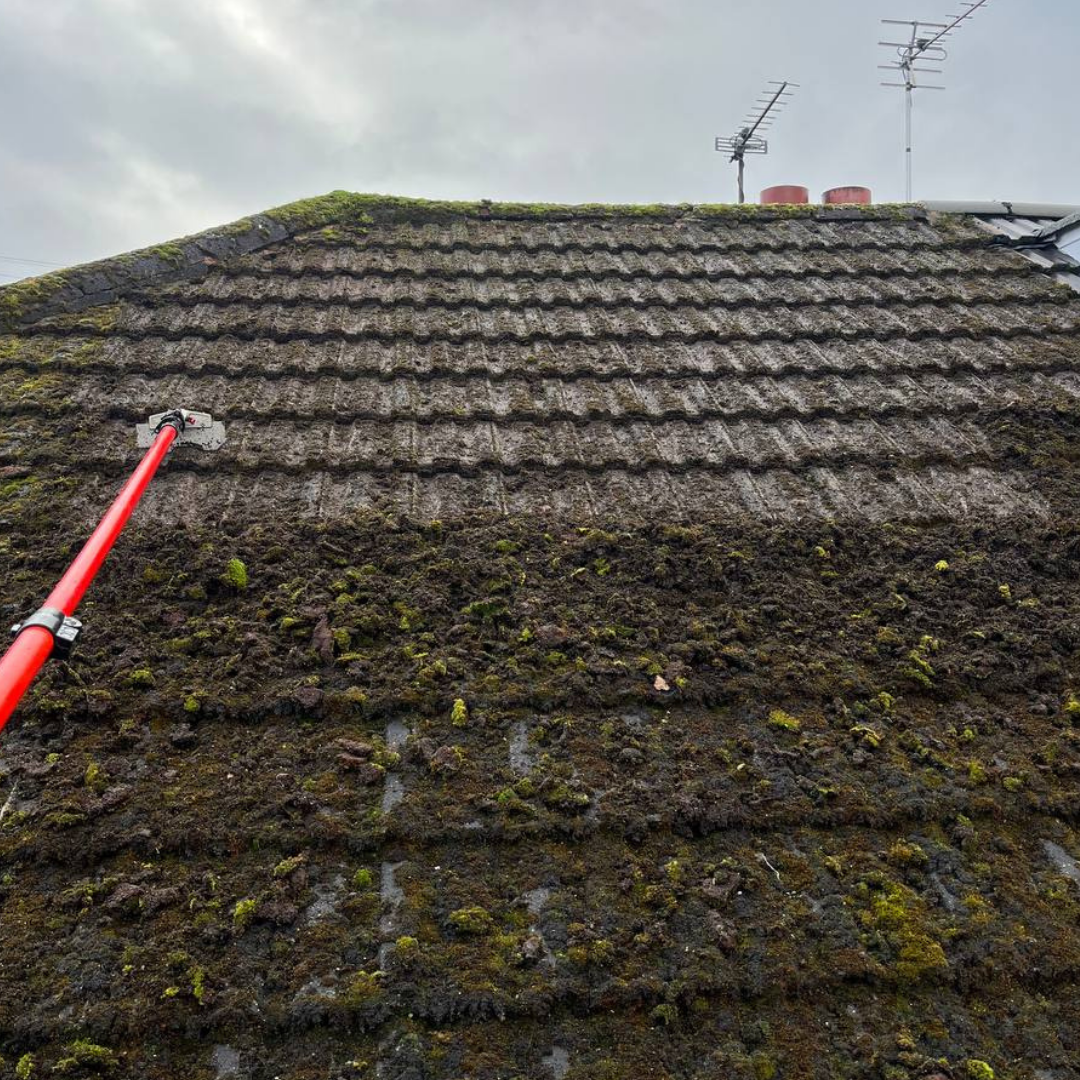  Signs Your Roof Needs Professional Cleaning in Manchester