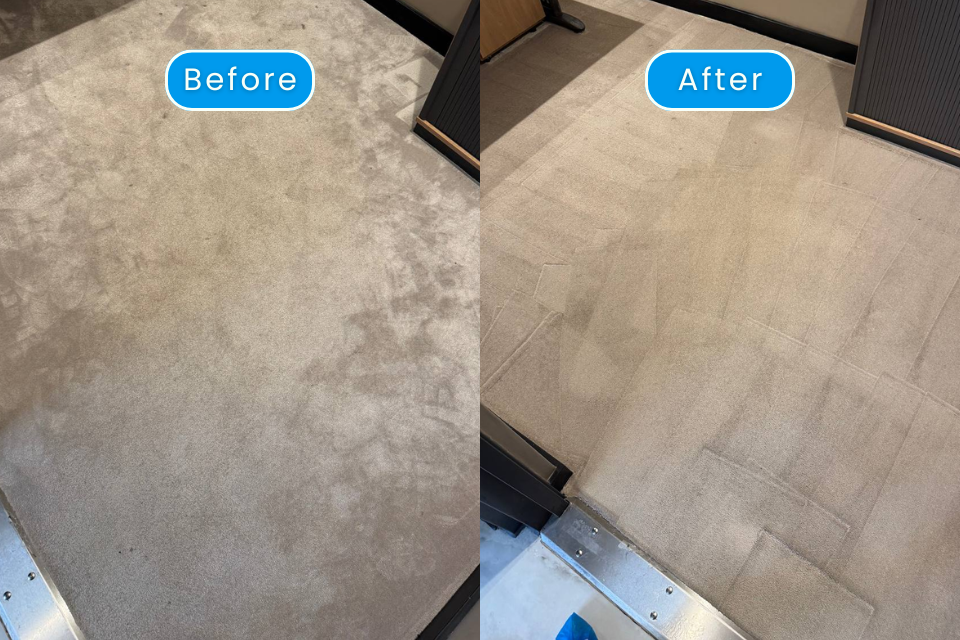 The Benefits of Regular Carpet Cleaning in Manchester and Surrounding Areas